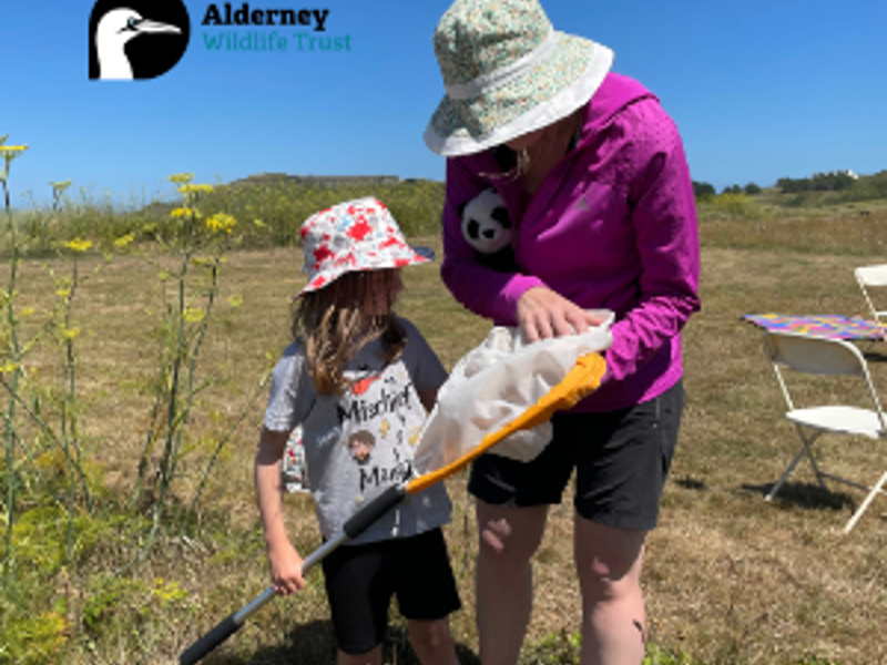 BioBlitz on Braye Common