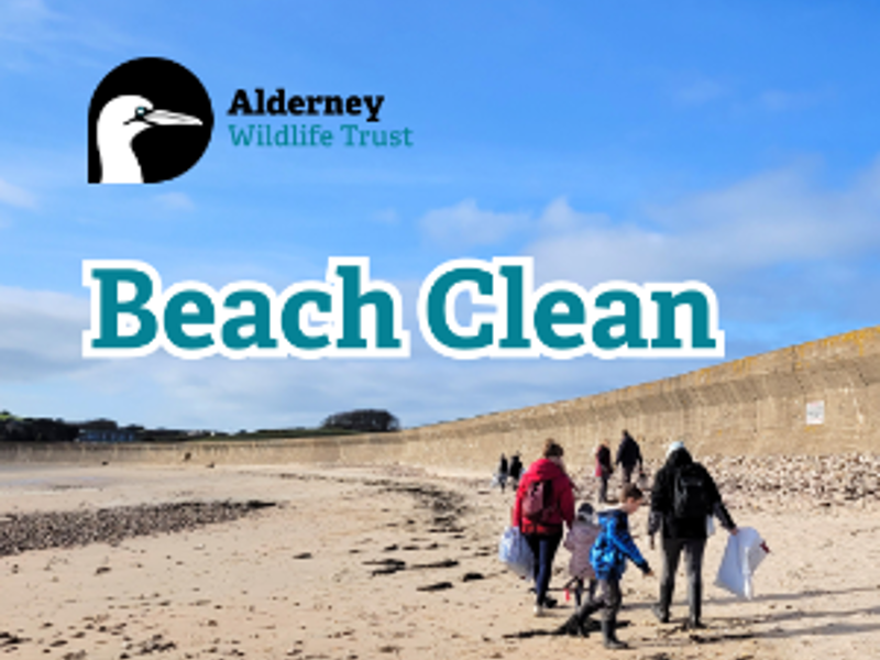 World Oceans Day Beach Clean