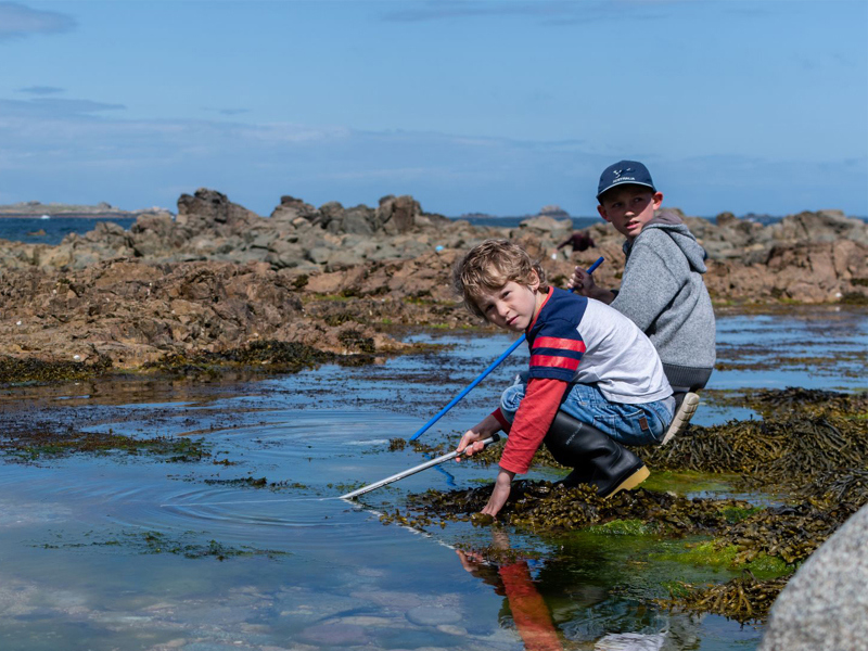 Rockpooling-banner-2019-1000x600.jpg