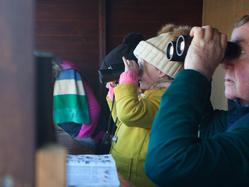 Birdwatching1-banner-2019-2000x850.jpg
