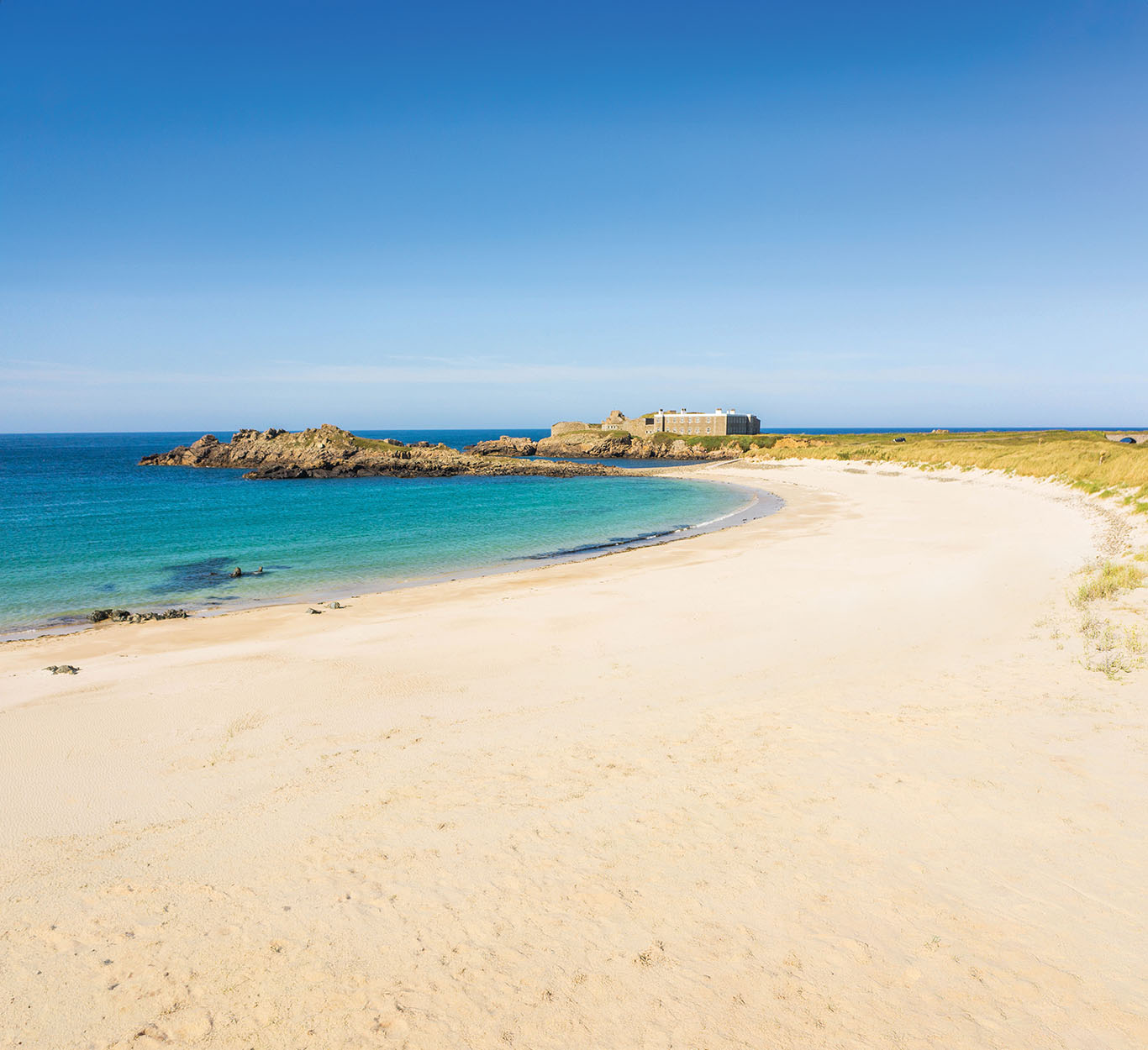 VA - Saye - 5 Beaches.jpg