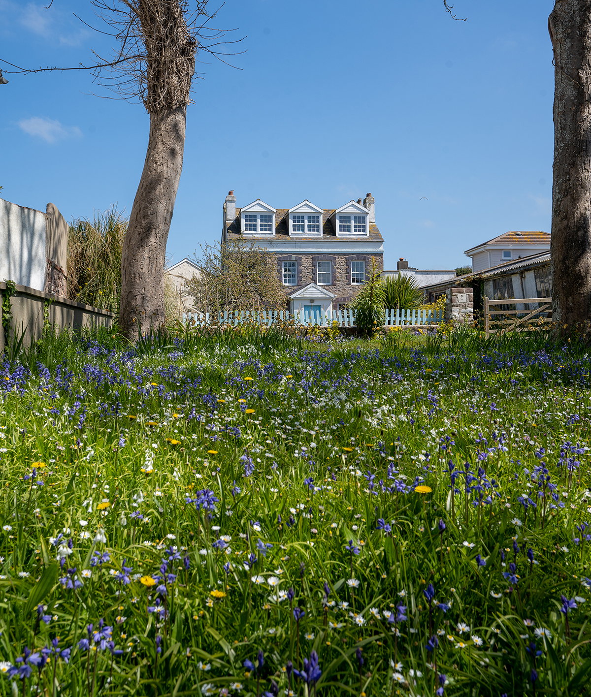 visit alderney.com