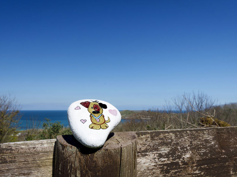 Alderney Rocks