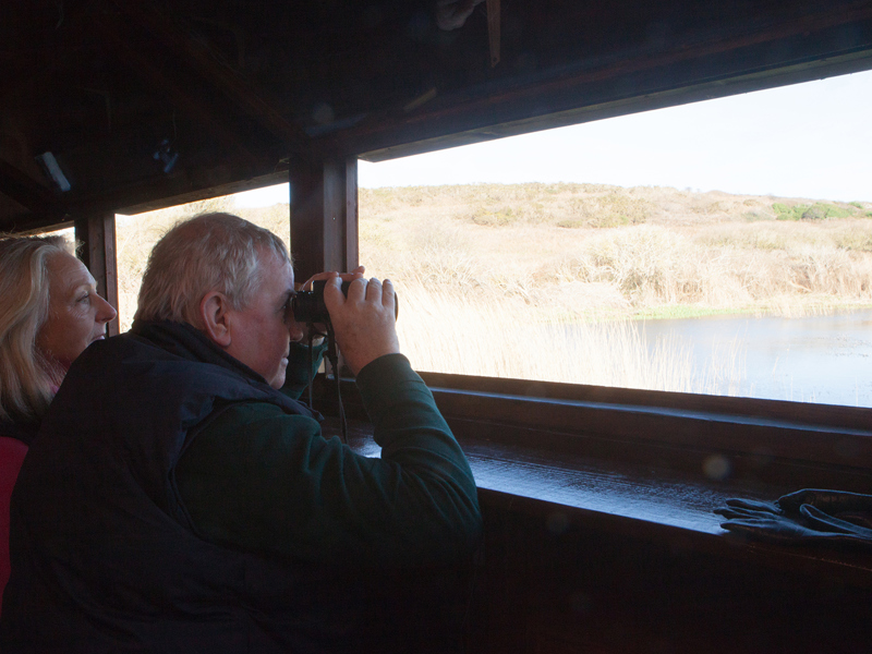 Longis Bird Hide