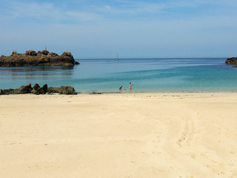 Saye Banner 2019 1000X600