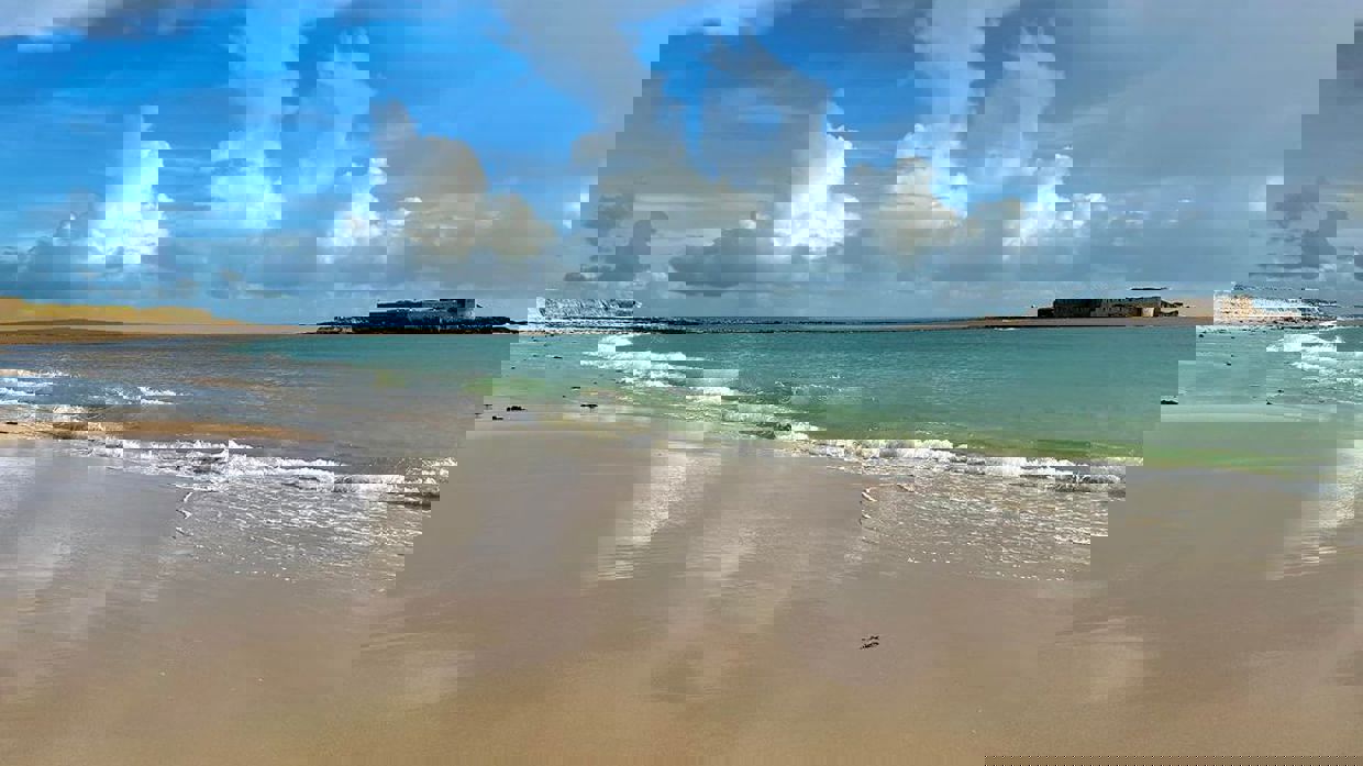 Longis Bay by Nikki Le Clercq