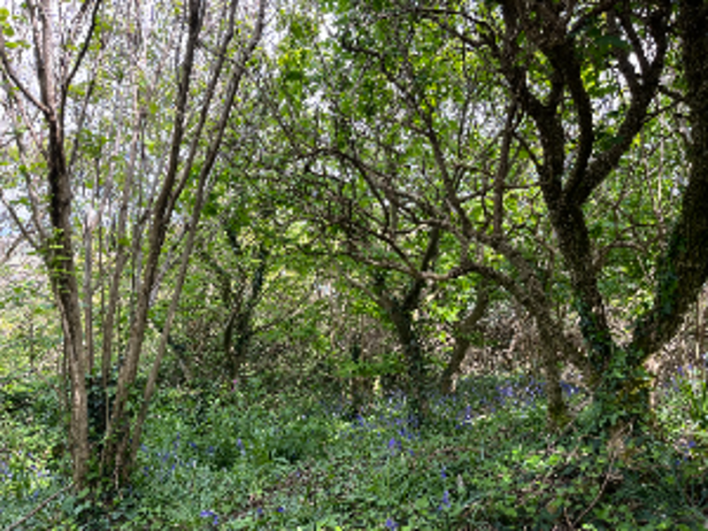 Reserve management talk