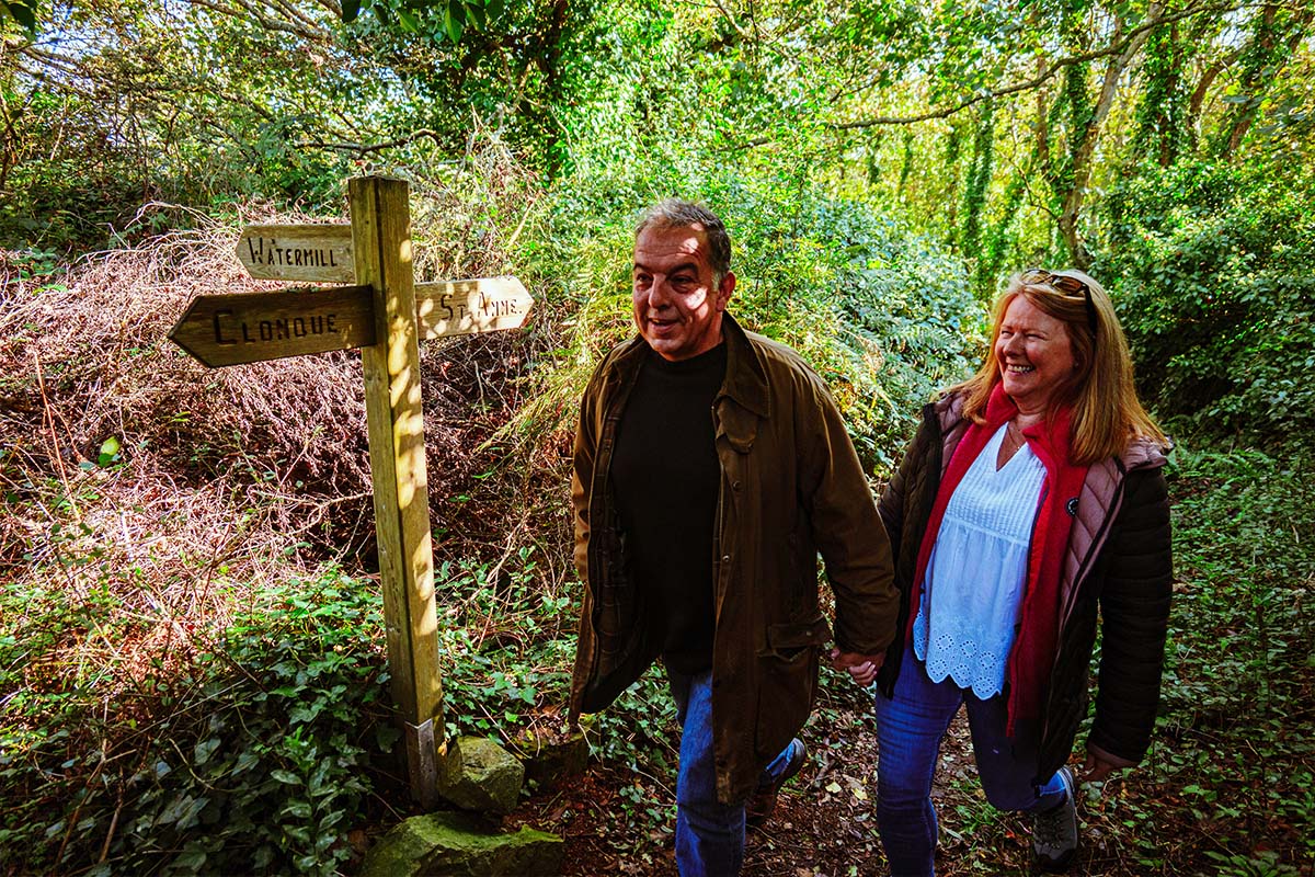 Autumnalalderney Woodlandwalk