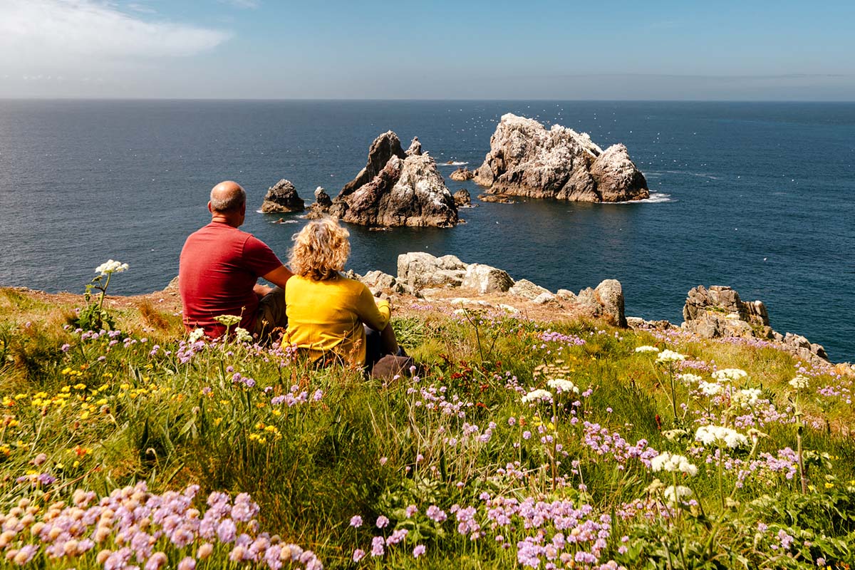 VA 7Thingstolove Gannets