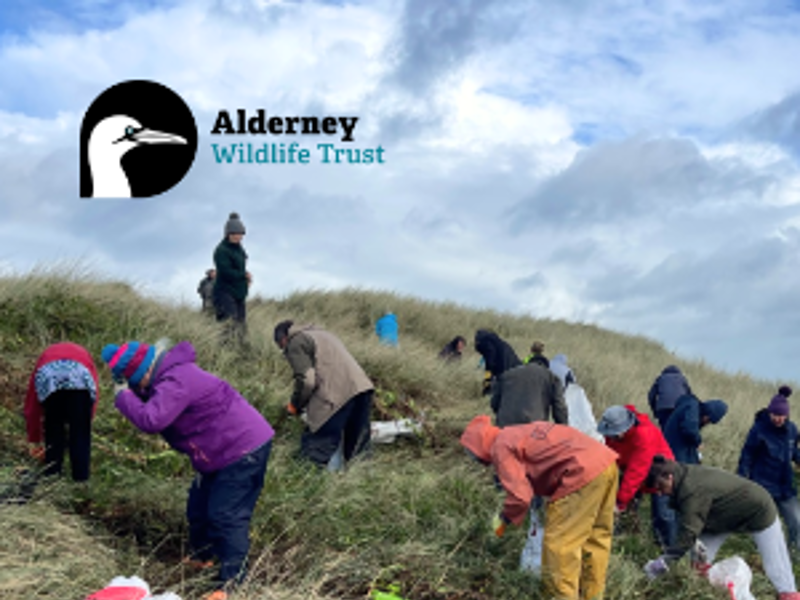 Conservation Volunteers