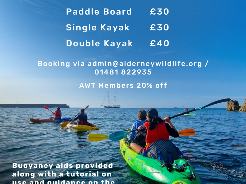 Kayak Hire 2025
