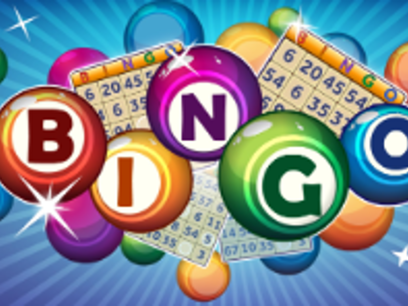 BINGO -eyes up, paws down