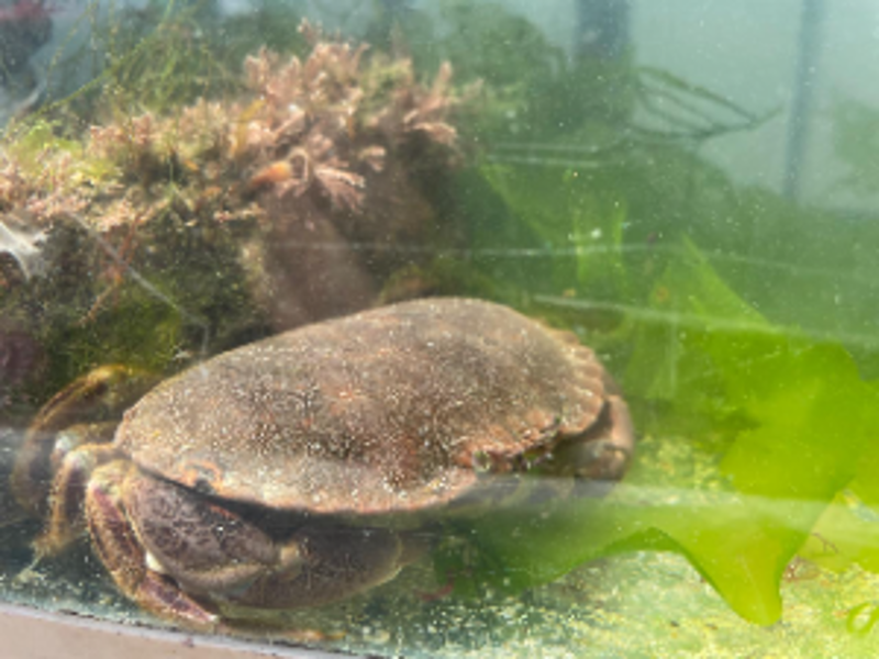 Marine Tank Session @ Moorings