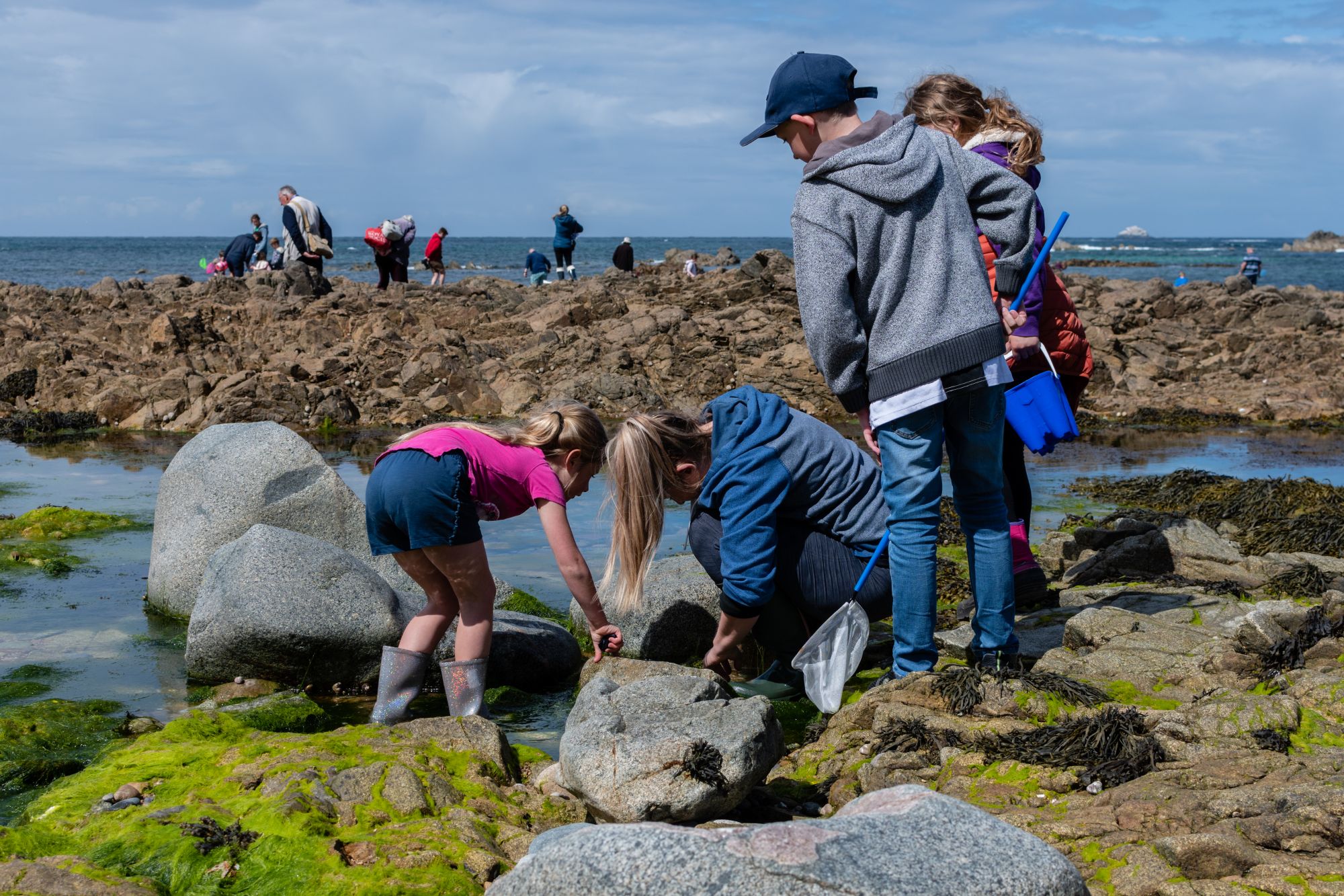 Forage, Fire & Feast