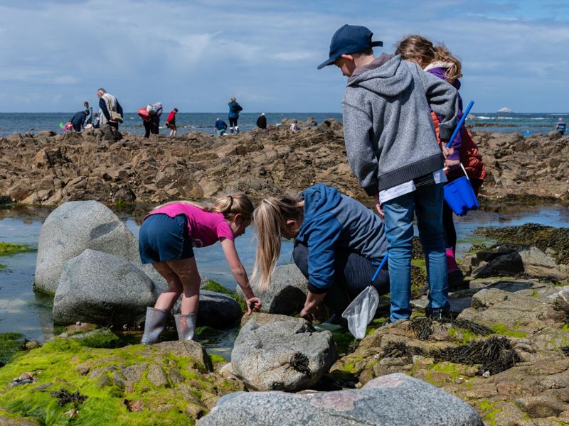 The Blonde Hedgehog Forage, Fire & Feast